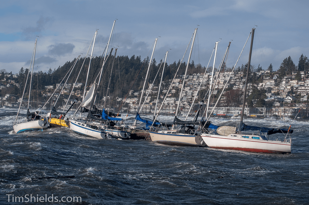 boats being blown by wind in White Rock