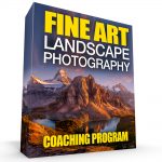 fine art coaching program