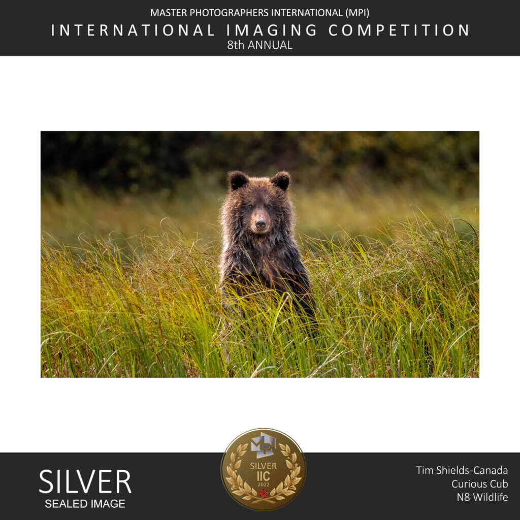 Tim Shields wins gold in prestigious photo contest! - Tim Shields