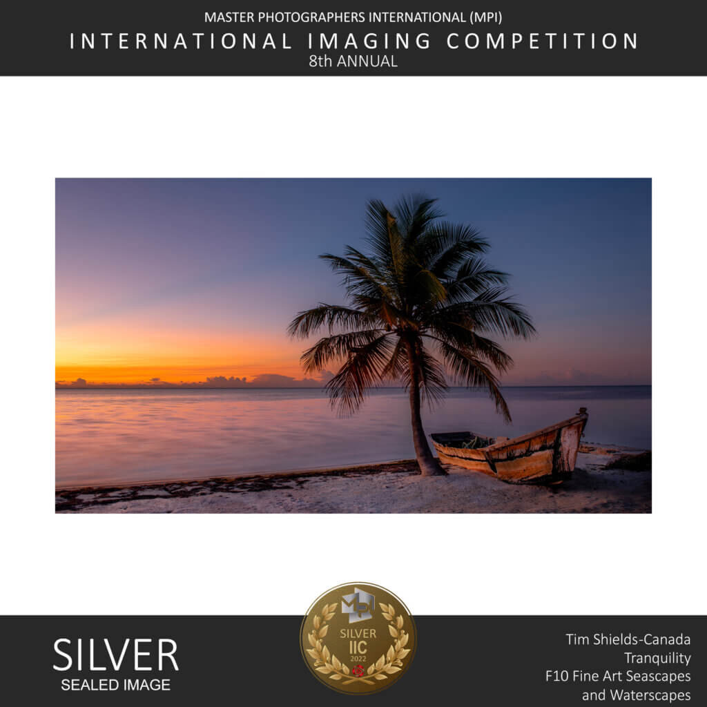 Tim Shields wins gold in prestigious photo contest! - Tim Shields